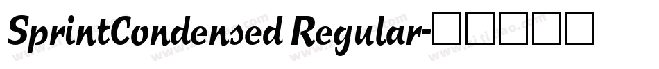 SprintCondensed Regular字体转换